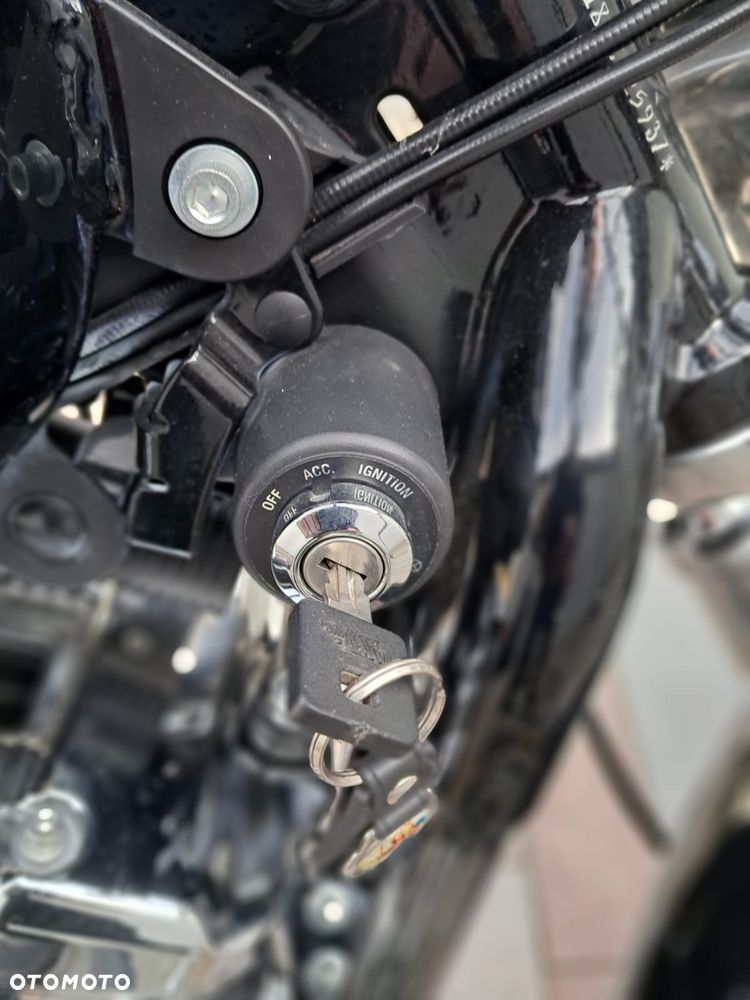 Harley-Davidson Sportster Custom 1200C - 24