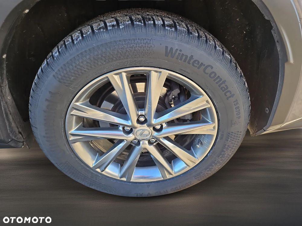 Lexus RX 200t / 300 Elite - 23