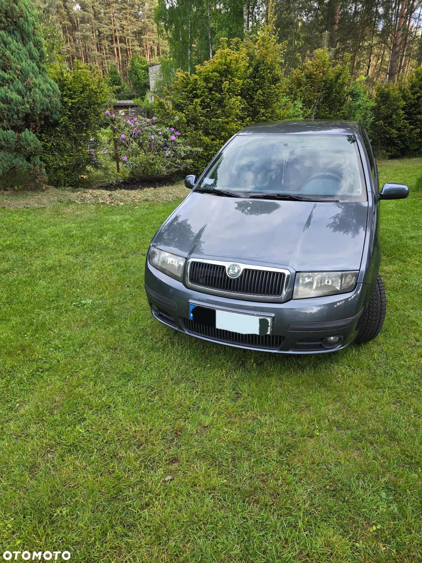 Skoda Fabia - 1
