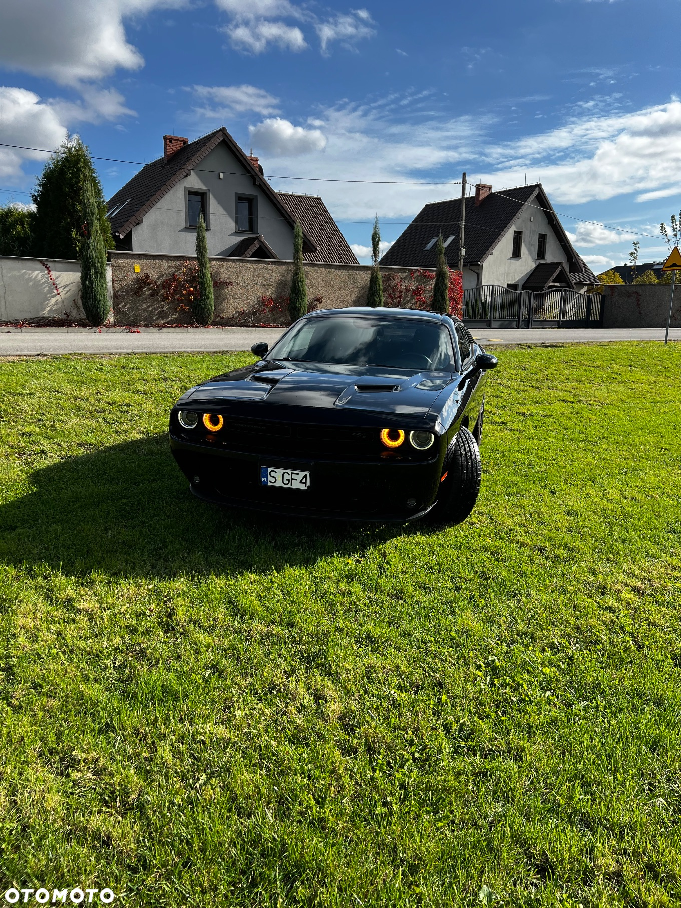 Dodge Challenger Automatik R/T Plus - 8