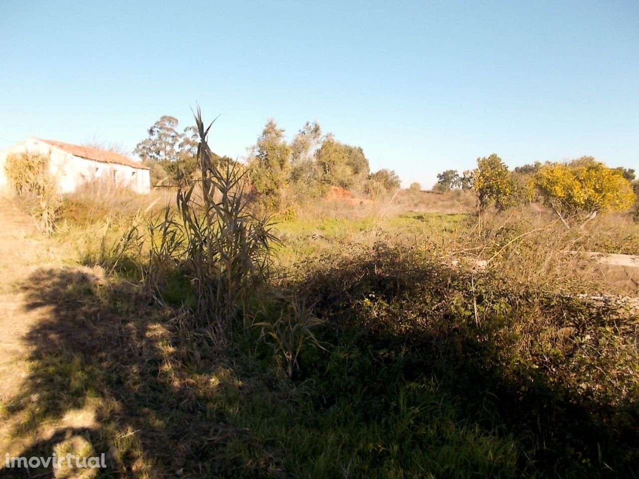 Terreno de 3Ha com Possibilidade de Lotear - Grande imagem: 5/10