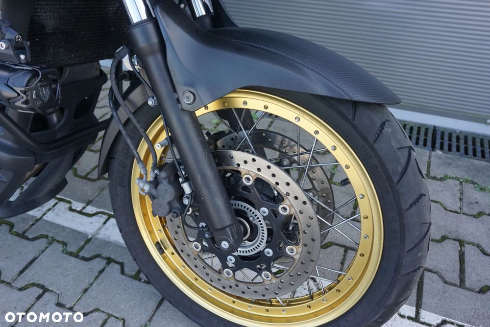 Suzuki V-STROM - 18