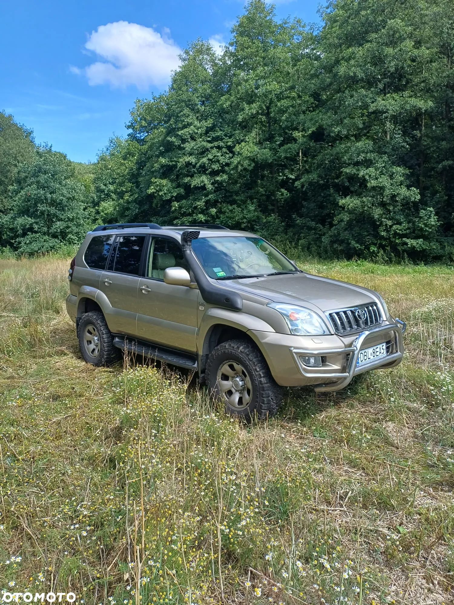 Toyota Land Cruiser 3.0 D Sol Navi - 1
