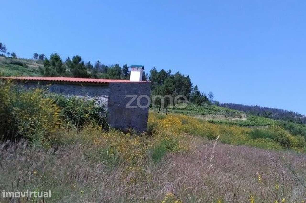 Terreno Rústico com 3.500 m² no Alto Douro Vinhateiro - Grande imagem: 4/4