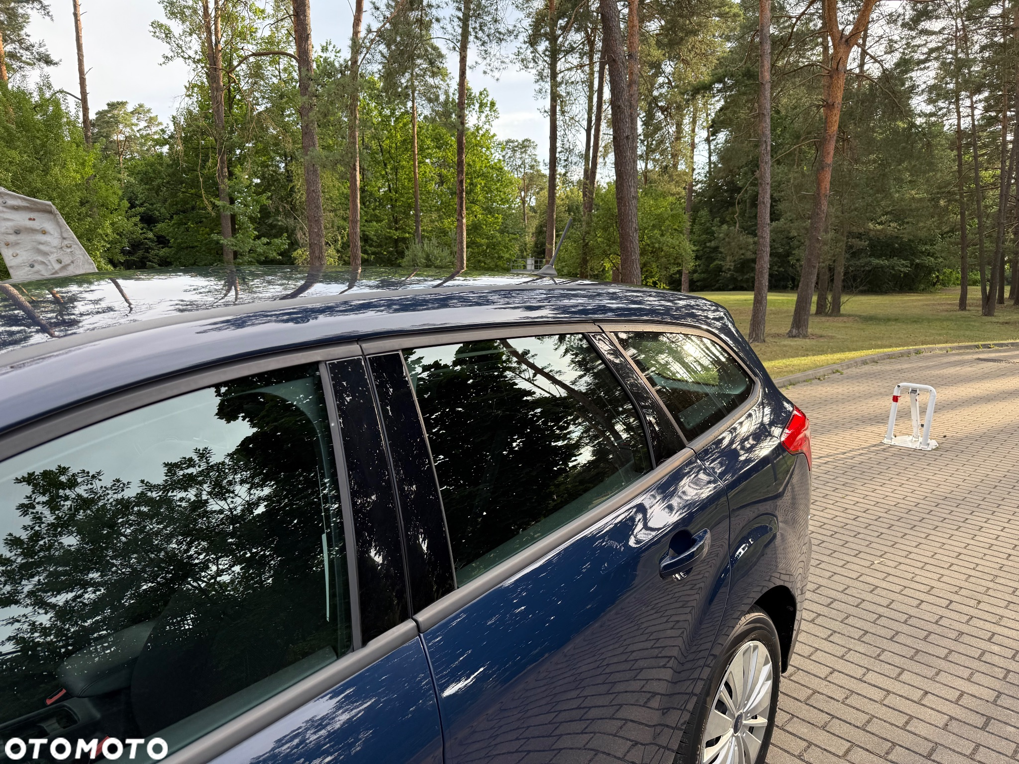 Ford Focus - 14