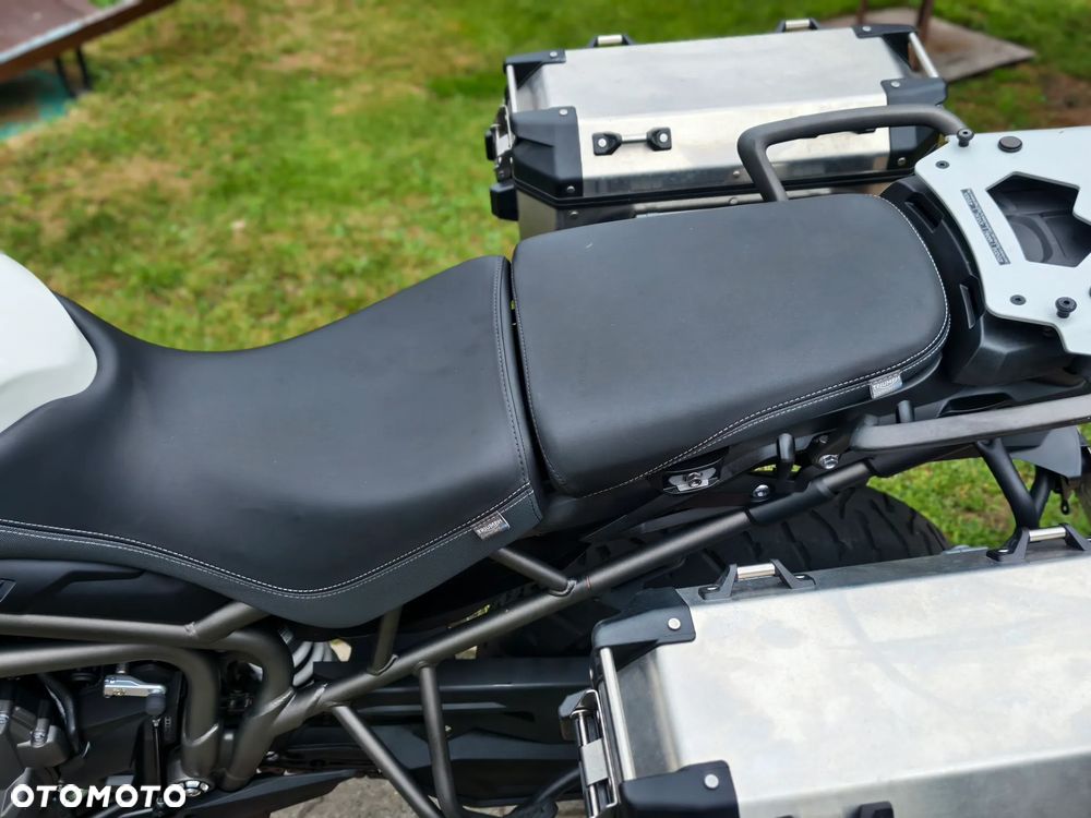 Triumph Tiger - 24