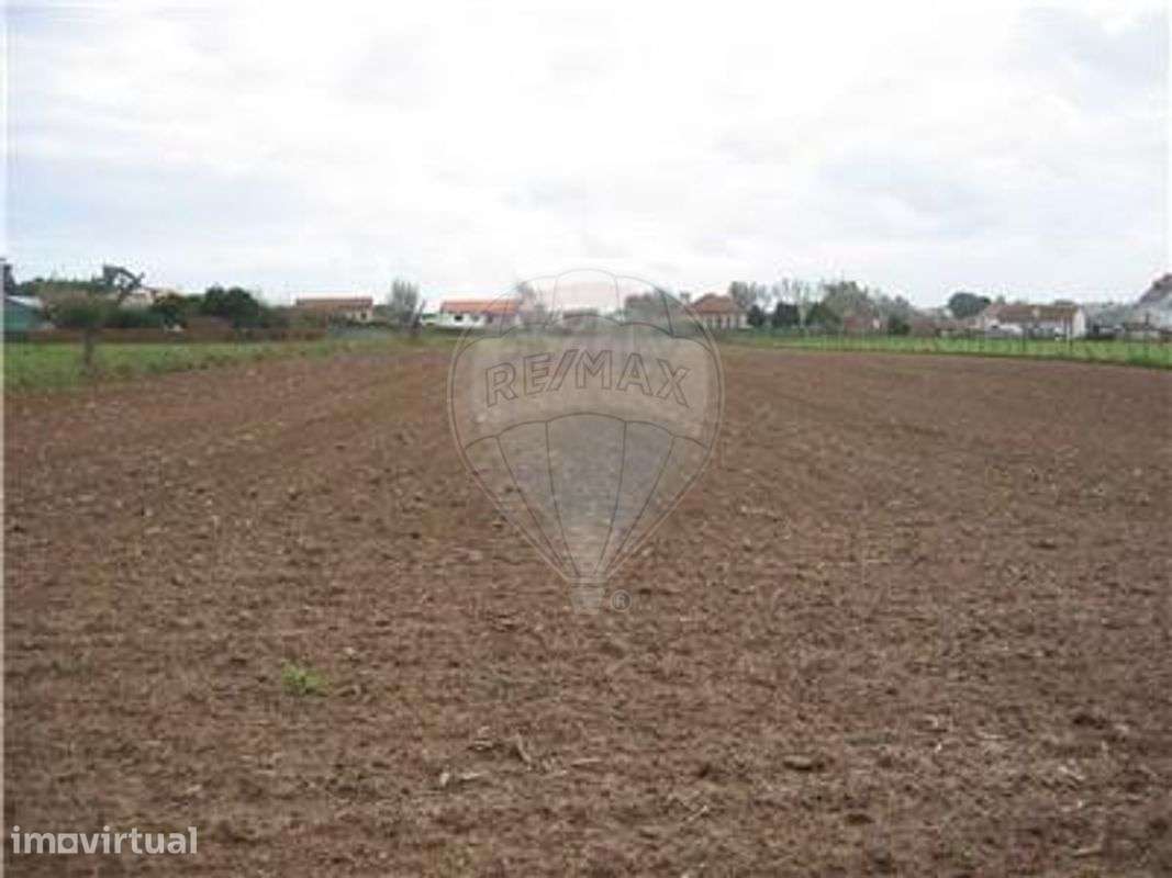 Terreno T0 para venda - Grande imagem: 2/6