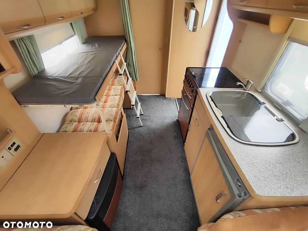 Coachman Amara - 7