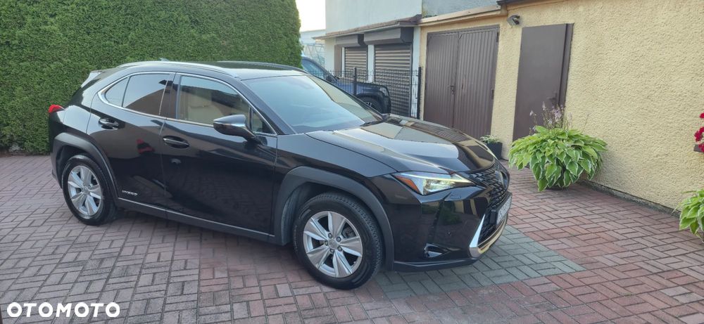 Lexus UX 250h Prestige AWD - 21