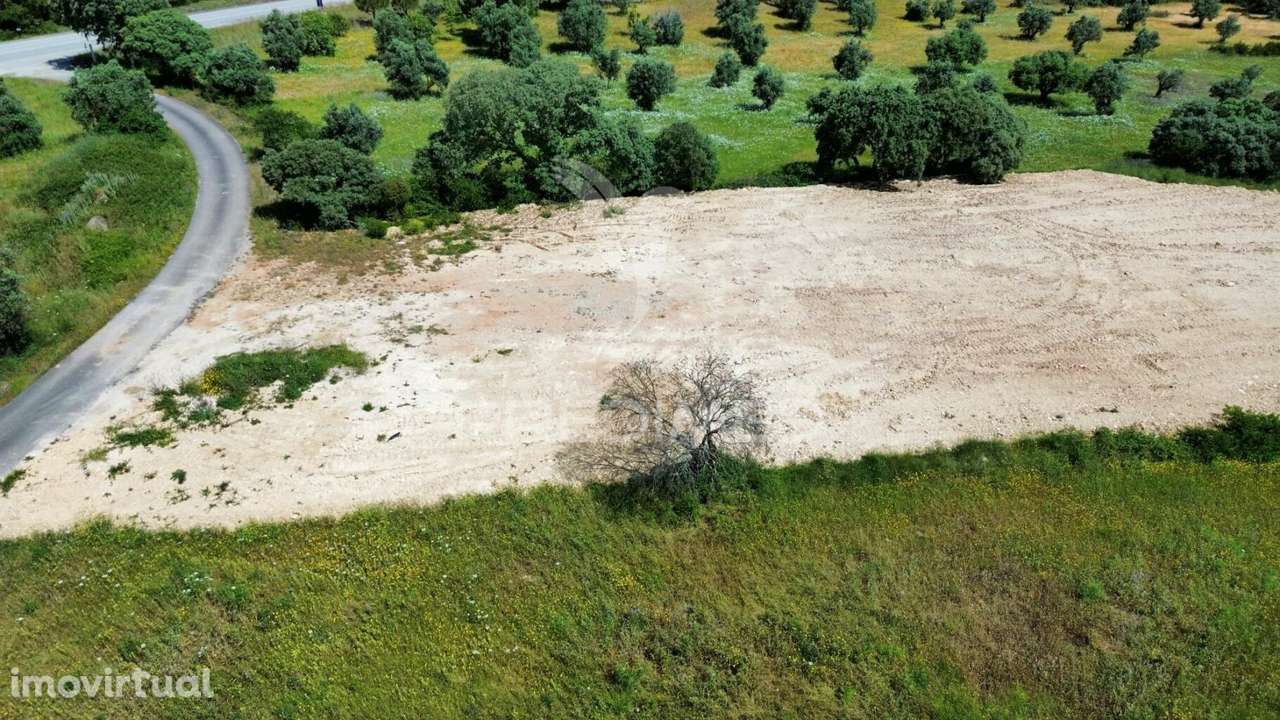Terreno rústico, localizado em Marujo - Bugalhos /Alcanena - Grande imagem: 3/22