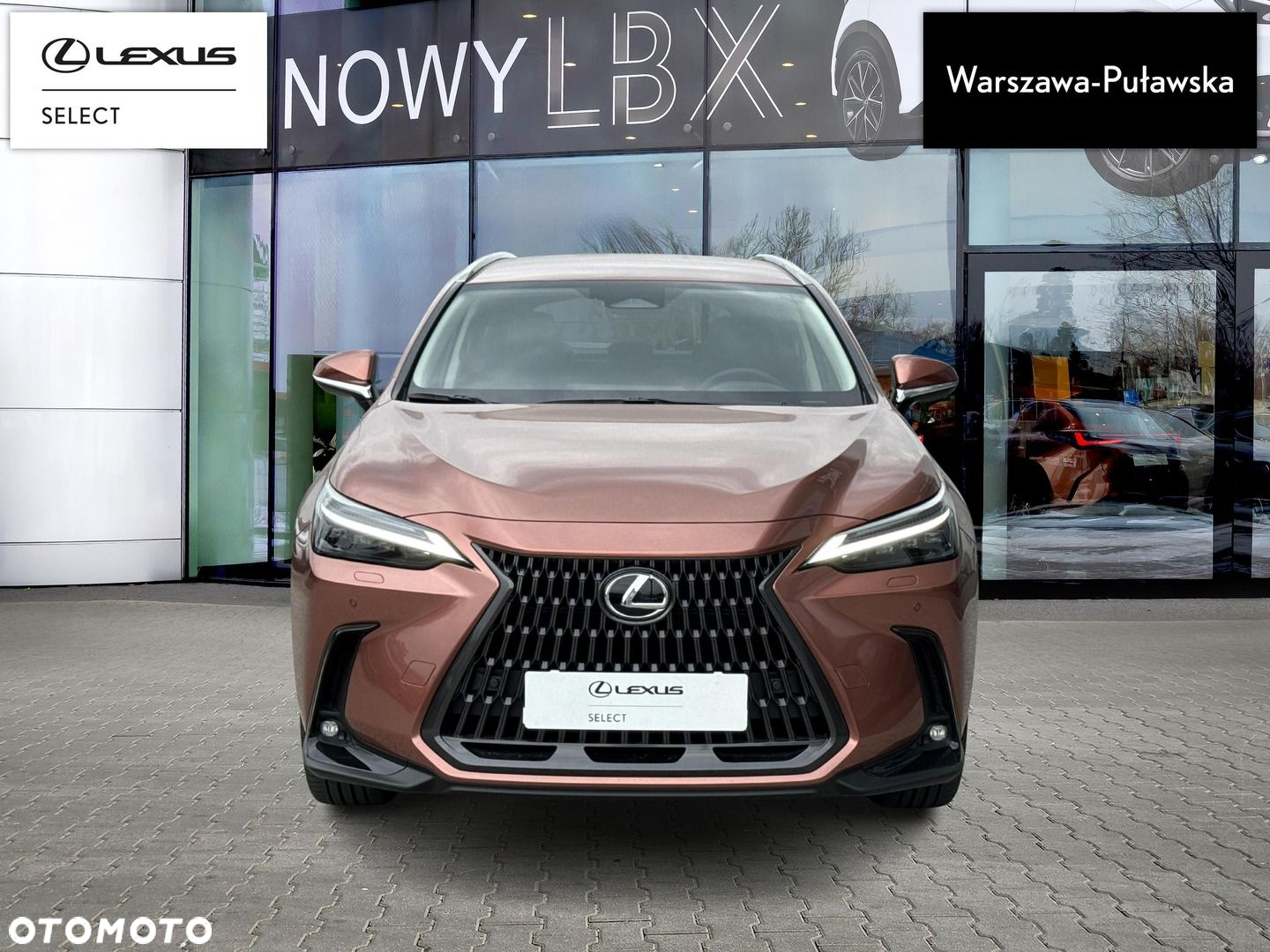 Lexus NX - 5