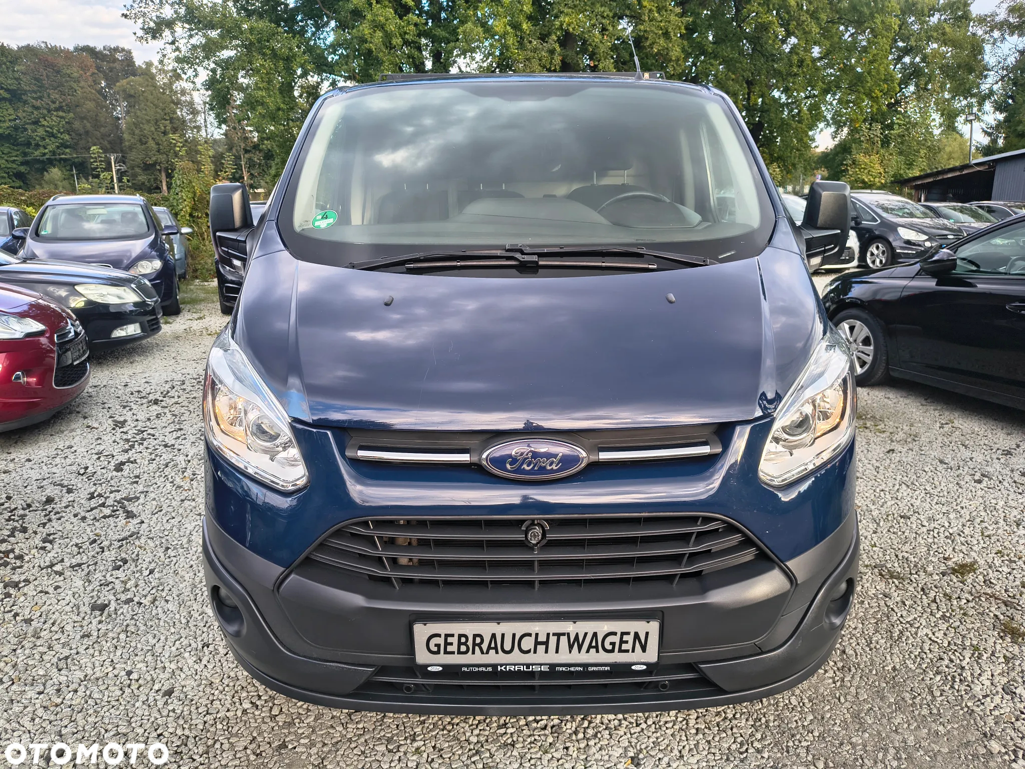 Ford Custom - 2