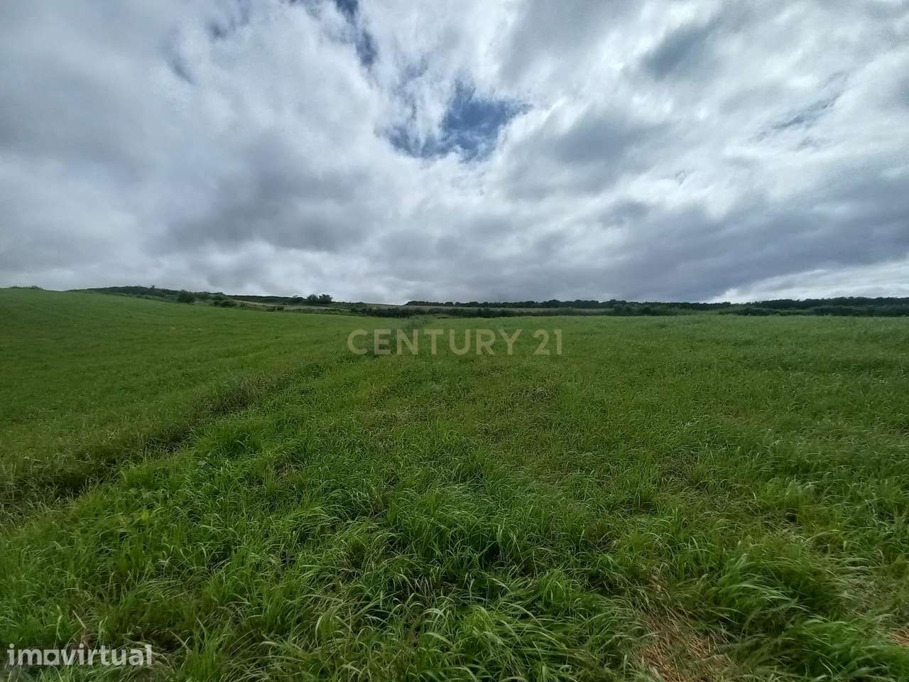 Terreno Agrícola em Ponta Garça, Vila Franca do Campo - Grande imagem: 2/3