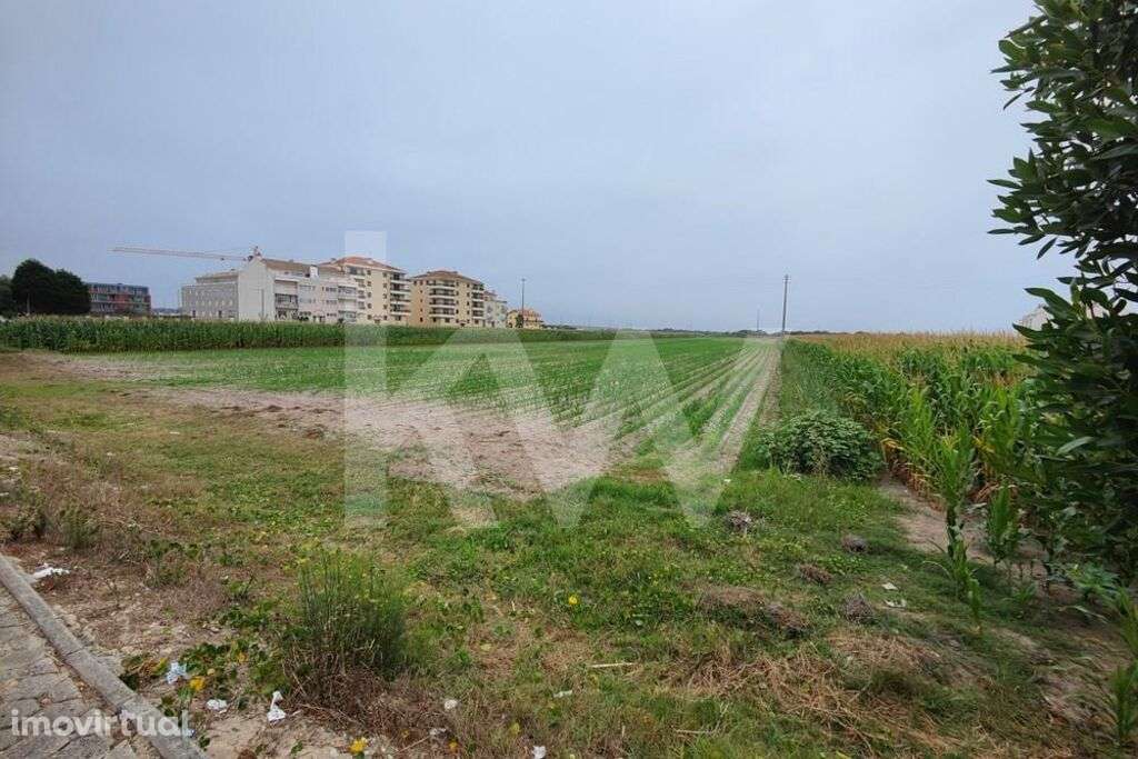 Terreno 11910 m2 localizado no centro da Praia da Vagueira, para const - Grande imagem: 4/6