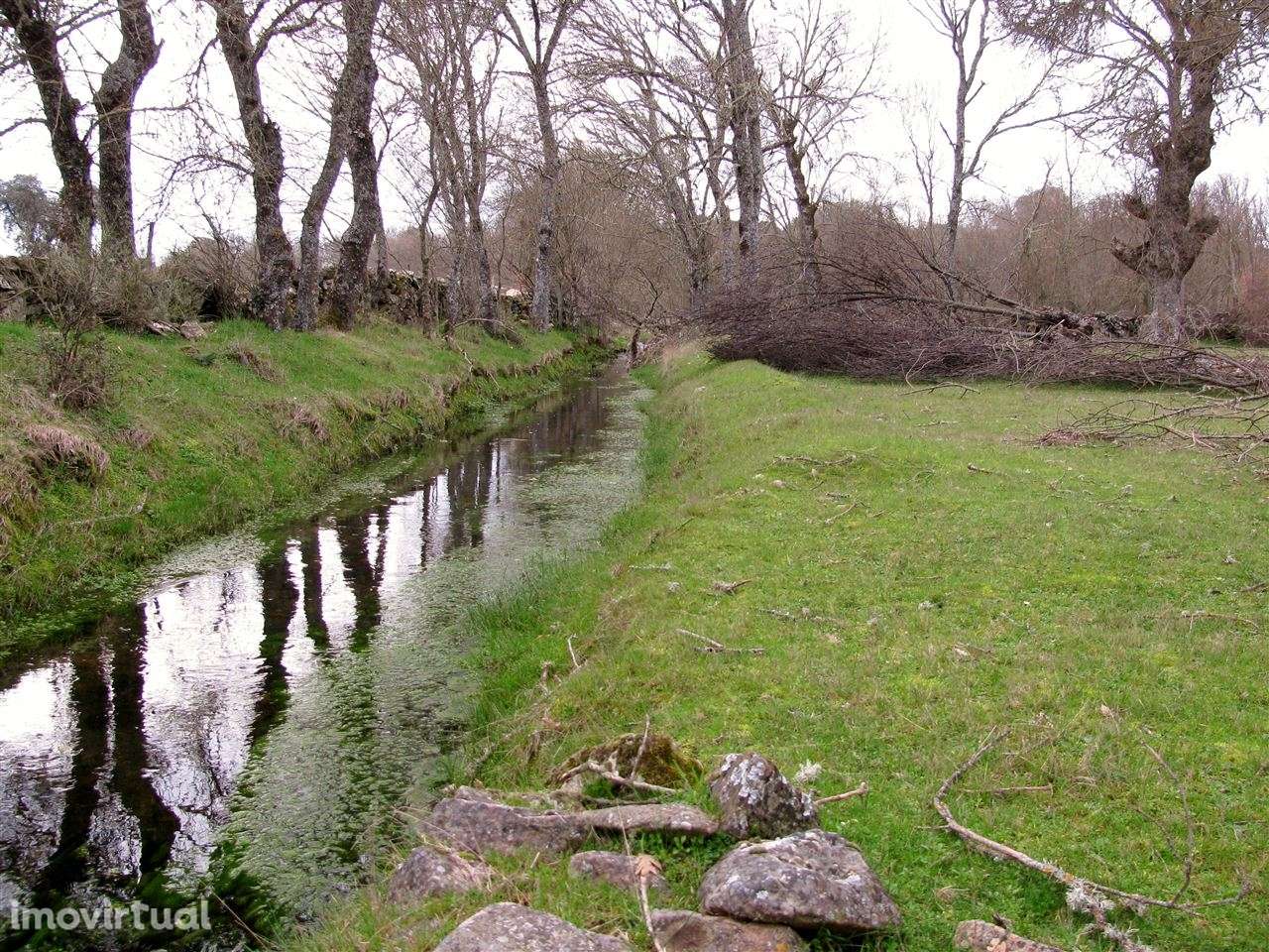 Terreno, Miranda do Douro - Grande imagem: 4/19