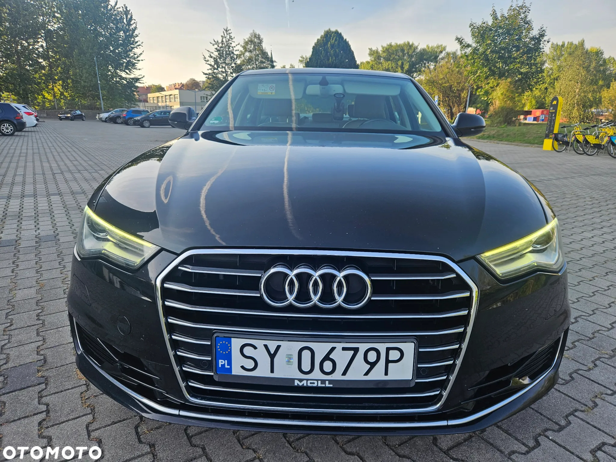 Audi A6 2.0 TDI Ultra DPF S tronic - 3