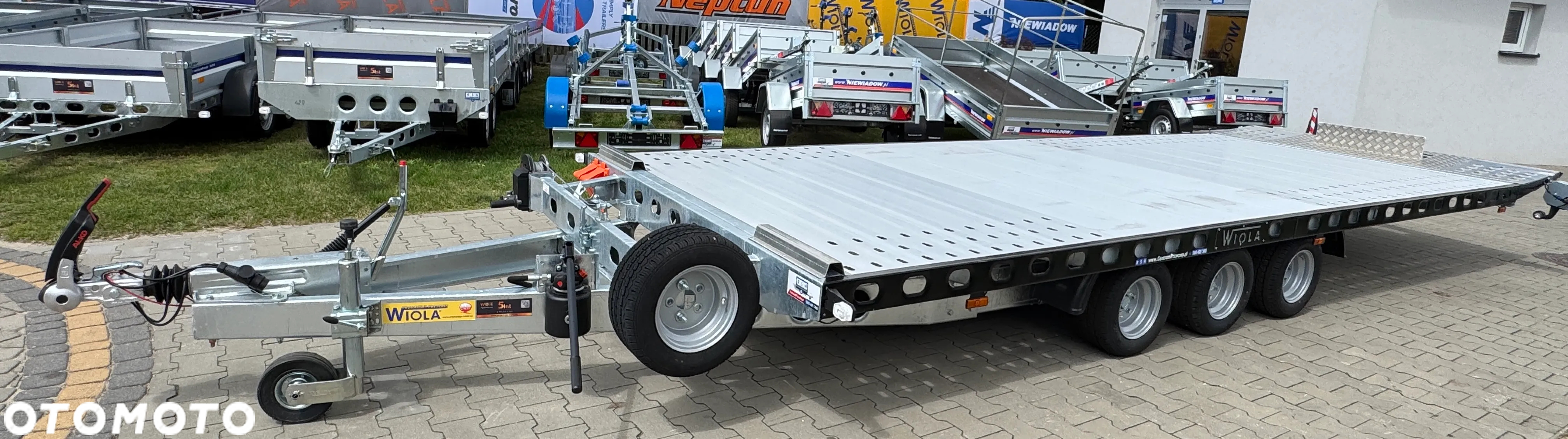 Wiola L35G55P - 15