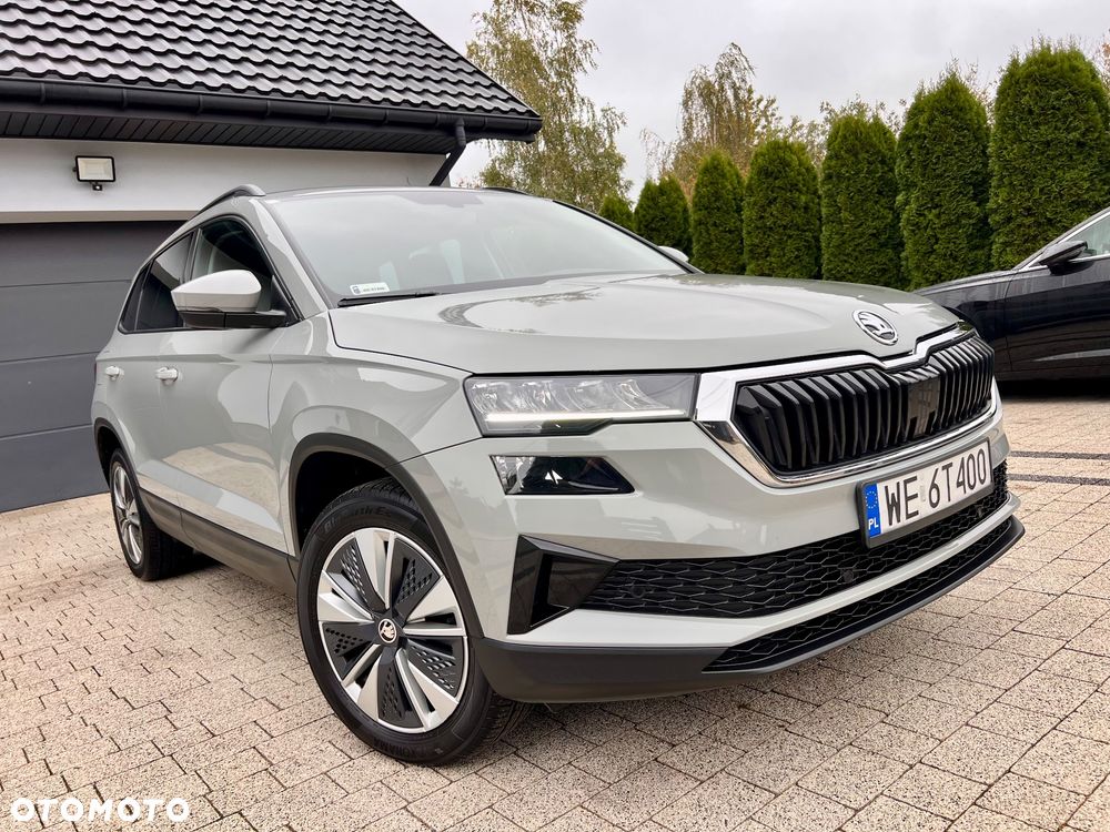Skoda Karoq - 19