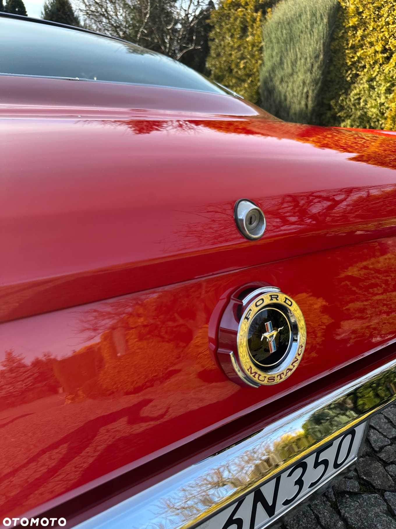 Ford Mustang - 22
