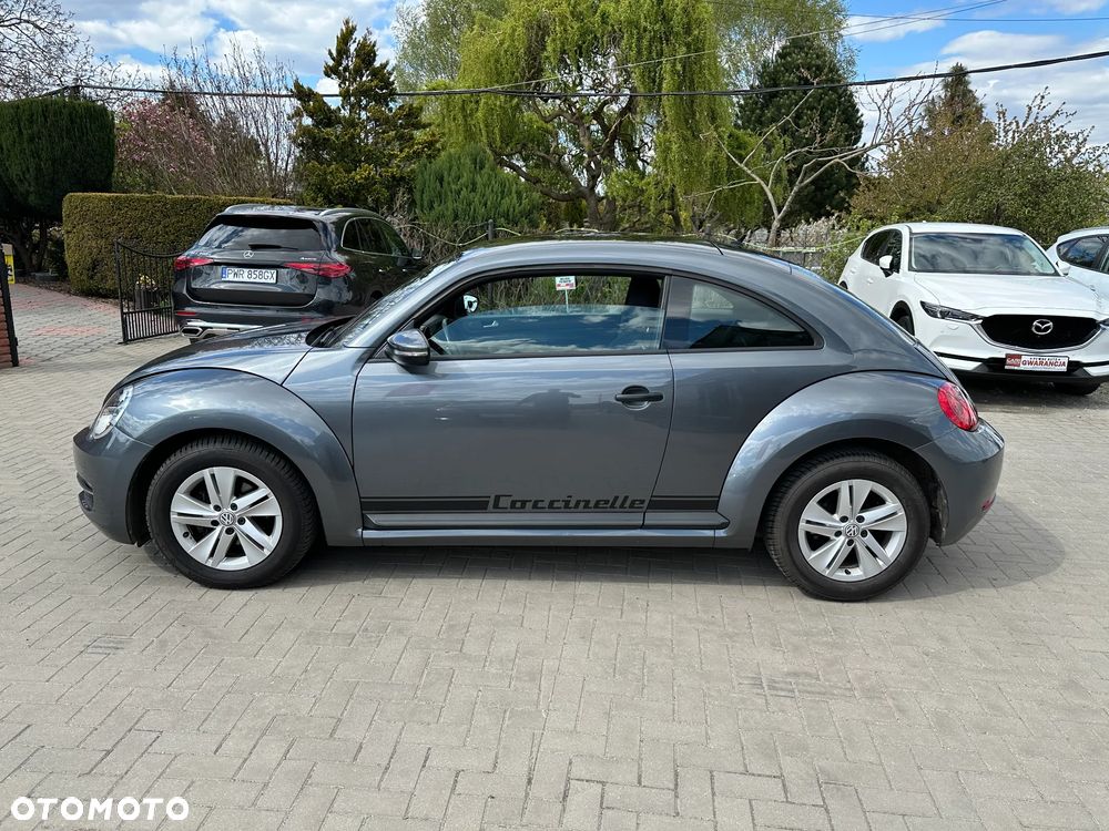 Volkswagen Beetle - 5