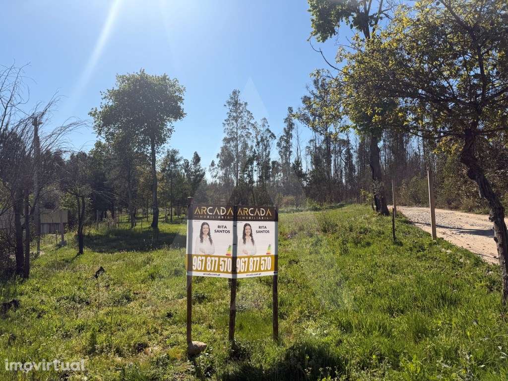 Terreno rústico em Assilhó - Albergaria-a-Velha - Grande imagem: 2/22