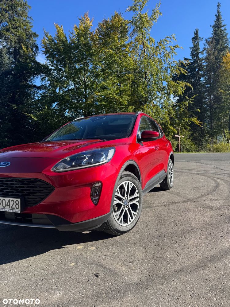 Ford Escape 1.5 EcoBoost AWD SE - 6