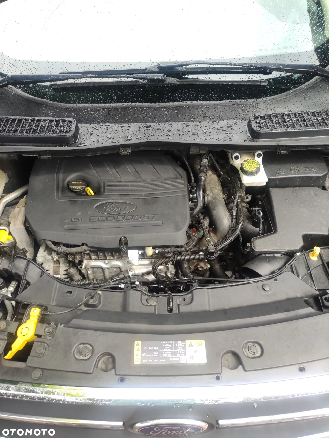 Ford Escape 1.5 EcoBoost AWD SE - 17