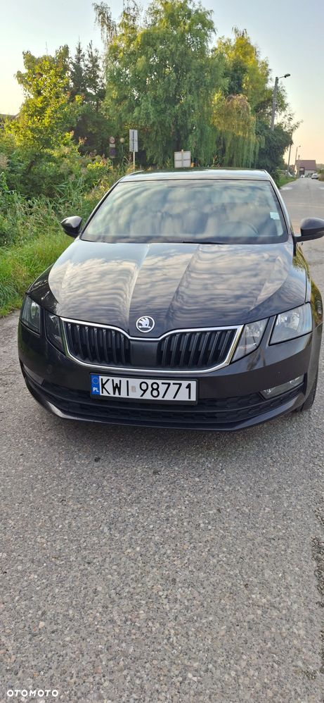 Skoda Octavia 2.0 TDI Ambition DSG - 8