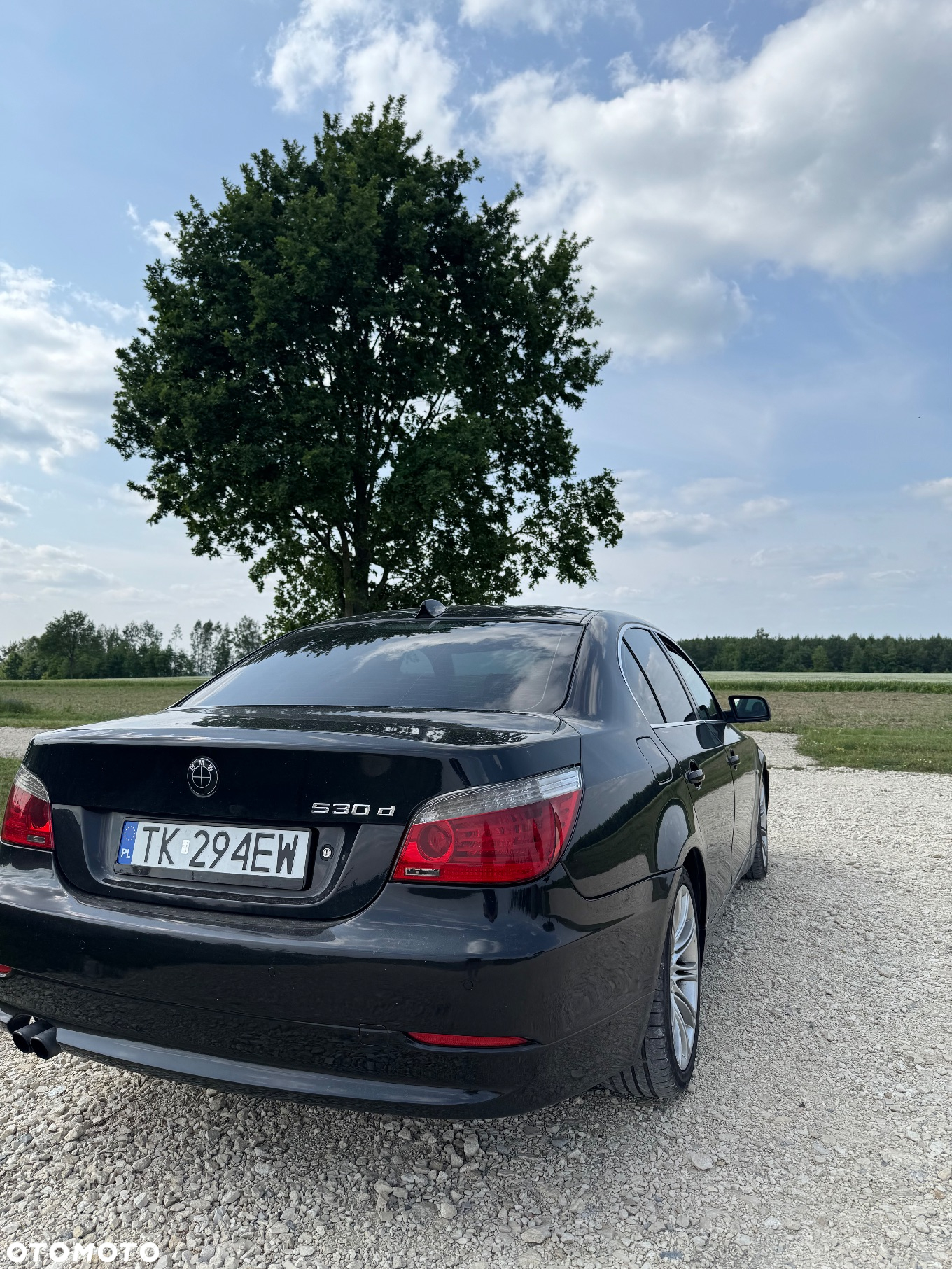 BMW Seria 5 - 12