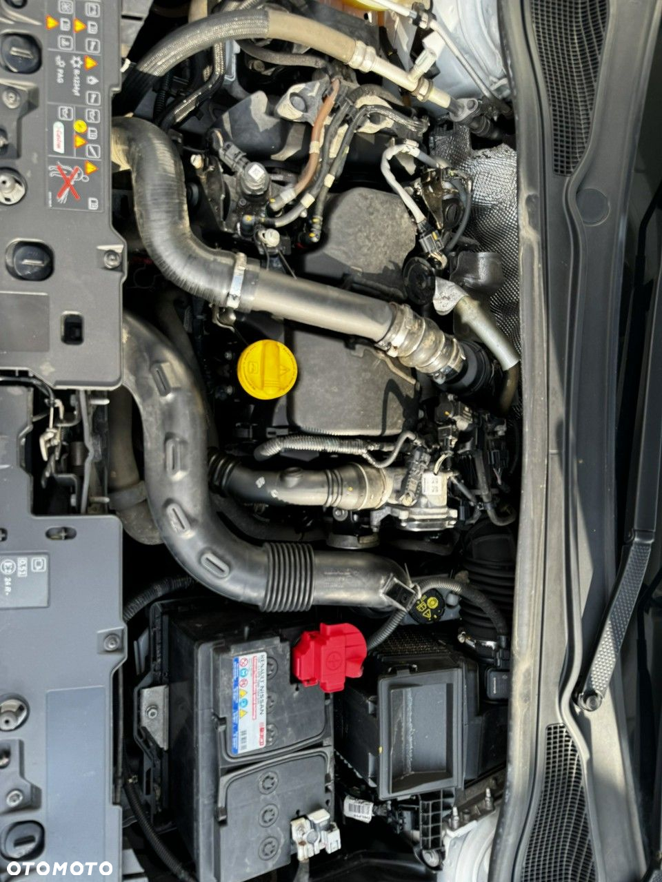 Renault Clio - 19