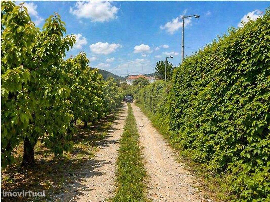 Quinta T7 para venda - Grande imagem: 4/49