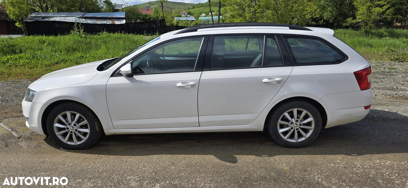 Skoda Octavia Combi 1.6 TDI (Green tec) Active - 3