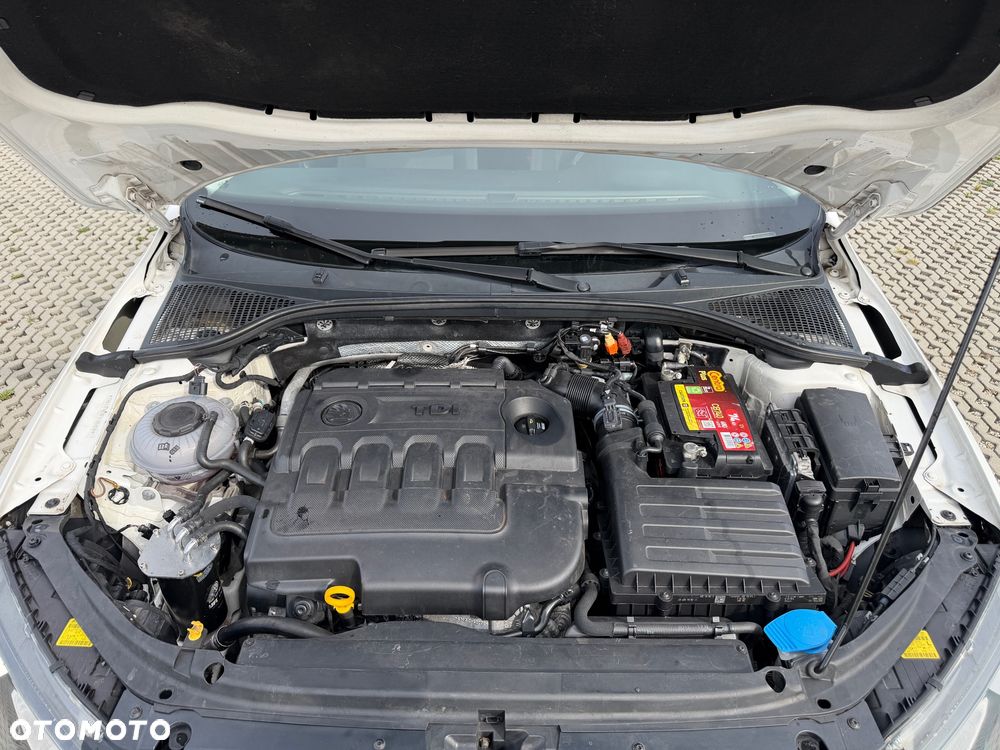 Skoda Octavia 1.6 TDI Ambition - 22