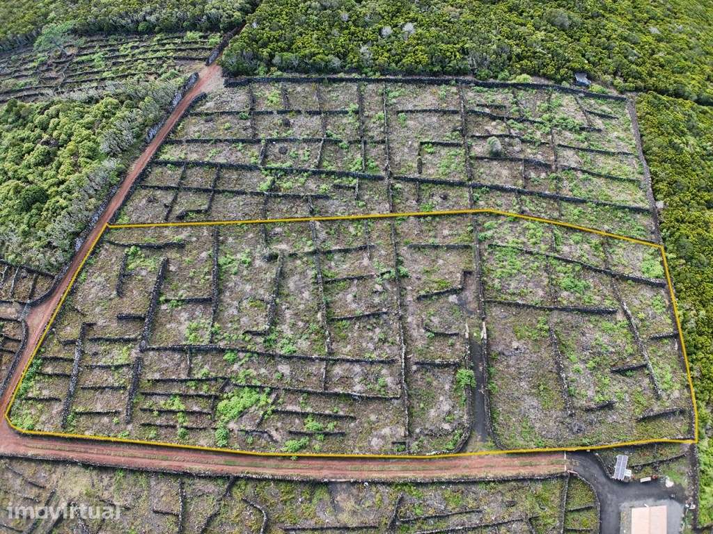 Terreno de esquina com 5.015 m², viabilidade de construção e vista ... - Grande imagem: 3/15