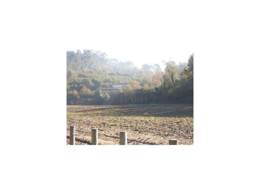 Quinta com 2 hectares em Bravães - Grande imagem: 3/6