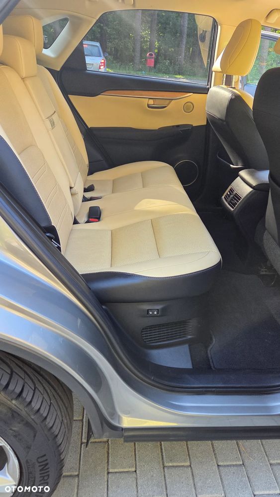 Lexus NX - 30