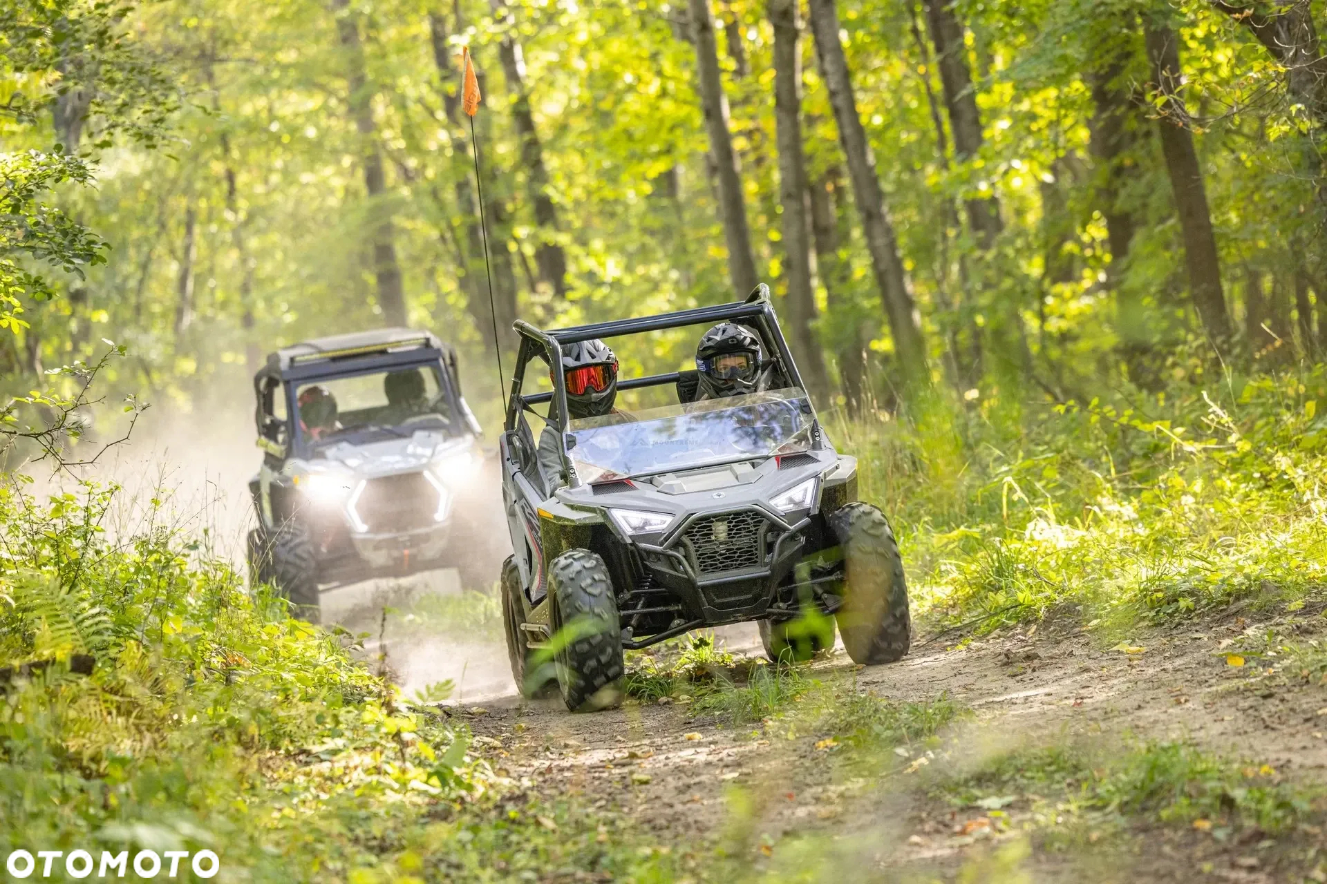 Polaris RZR - 13