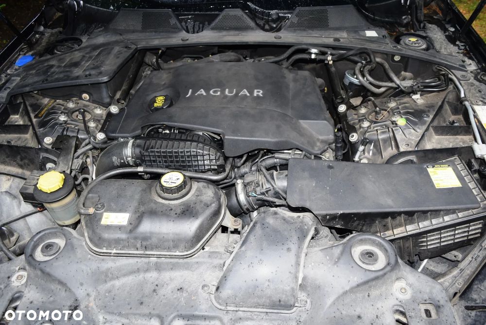Jaguar XJ 3.0 D V6 Luxury - 31
