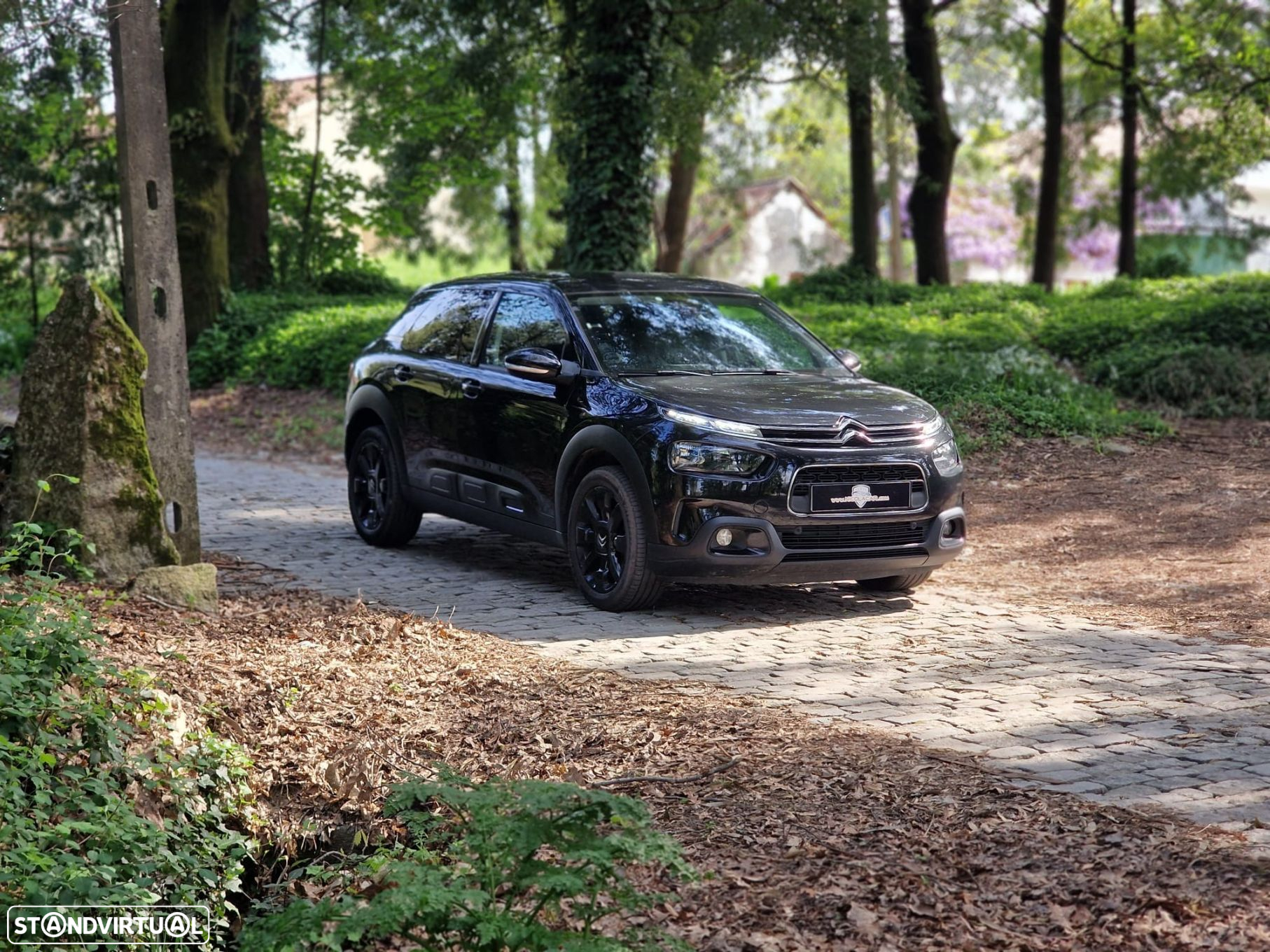 Citroën C4 Cactus 1.2 PureTech Feel - 2