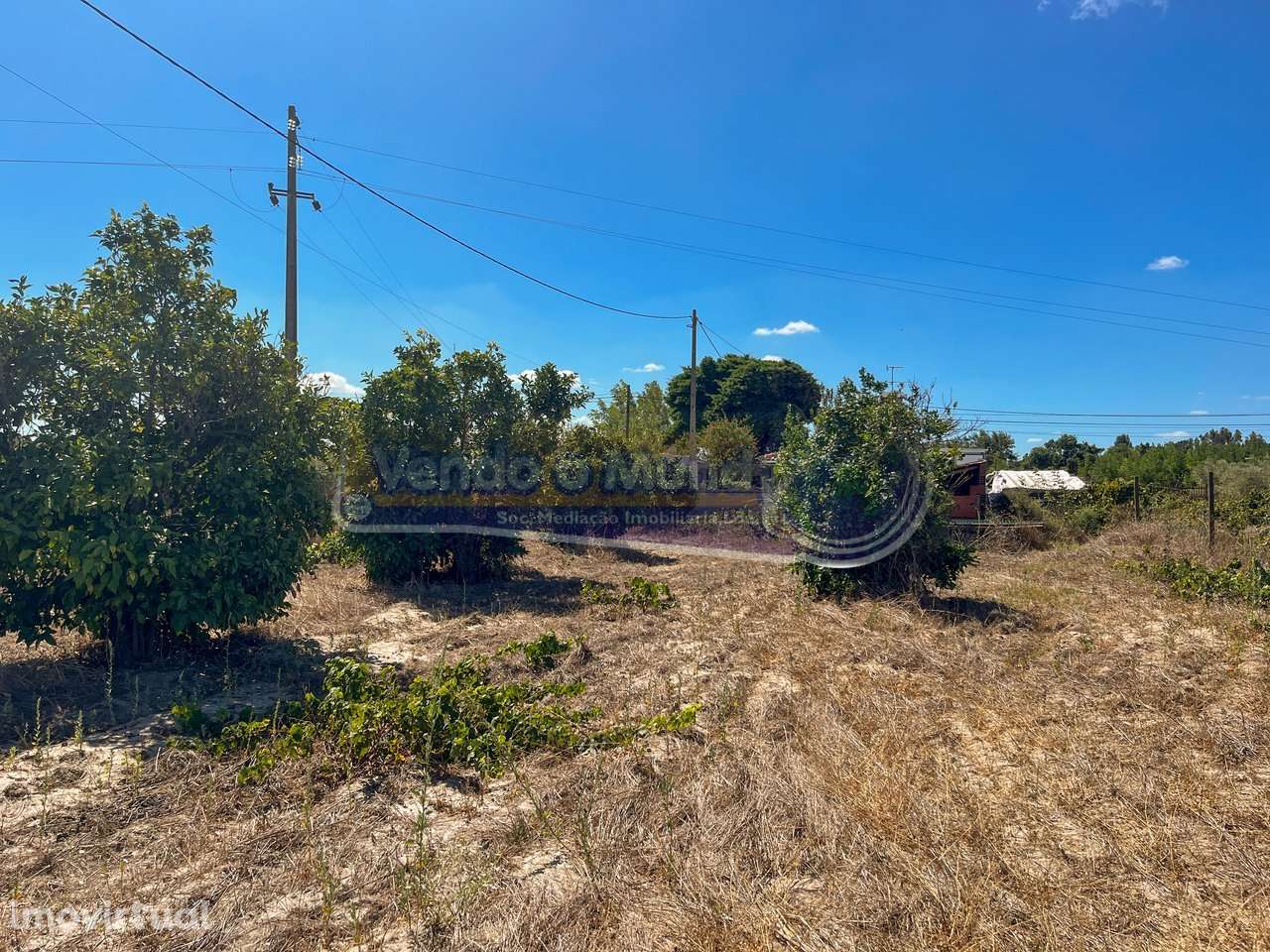 Terreno Rústico em Várzea Fresca (F787) - Grande imagem: 4/9