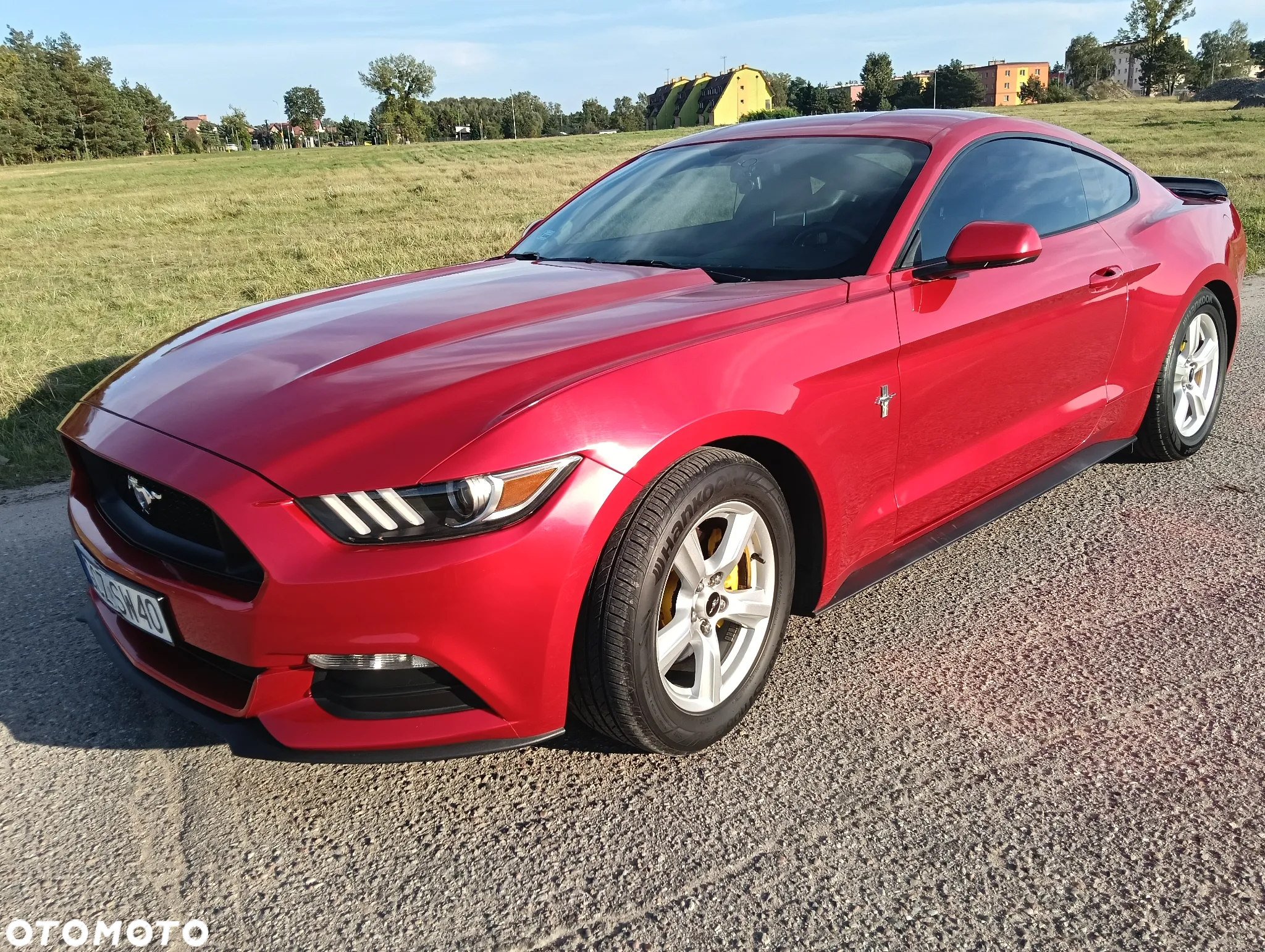 Ford Mustang - 12