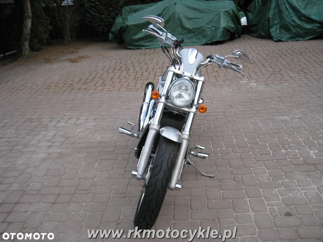 Harley-Davidson Softail V-Rod - 8
