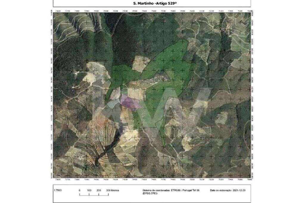 TERRENO DE 39 Ha, COM VISTA PARA O RIO DOURO (3.1 Ha DE VINHA COM BENE - Grande imagem: 4/16