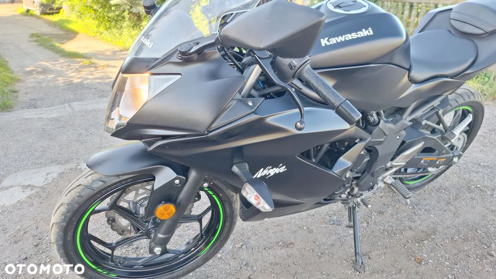 Kawasaki Ninja - 23