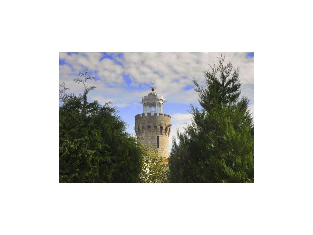 Herdade de 1965 com 5 hectares de ter... - Grande imagem: 5/42