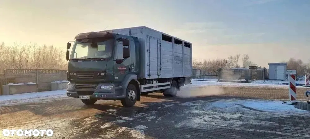 DAF LF55.250 do przewozu zwierząt - 2