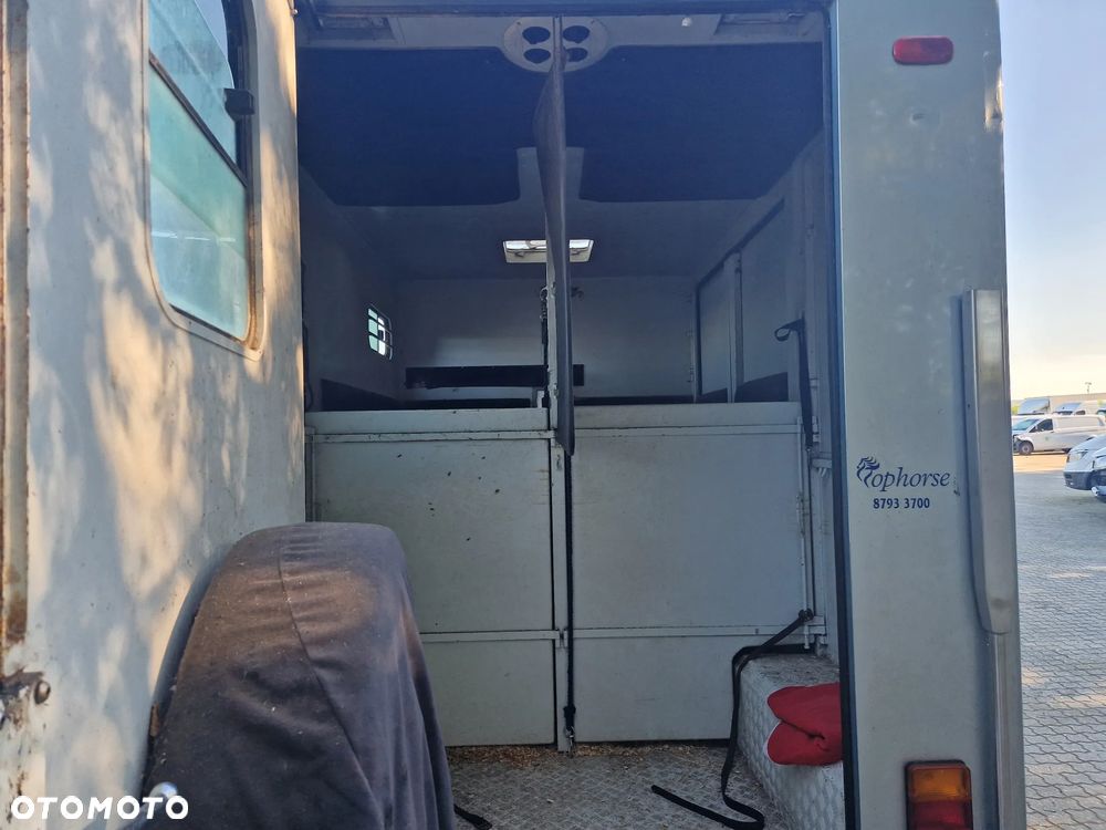 Renault Master Theault koniowóz - 11