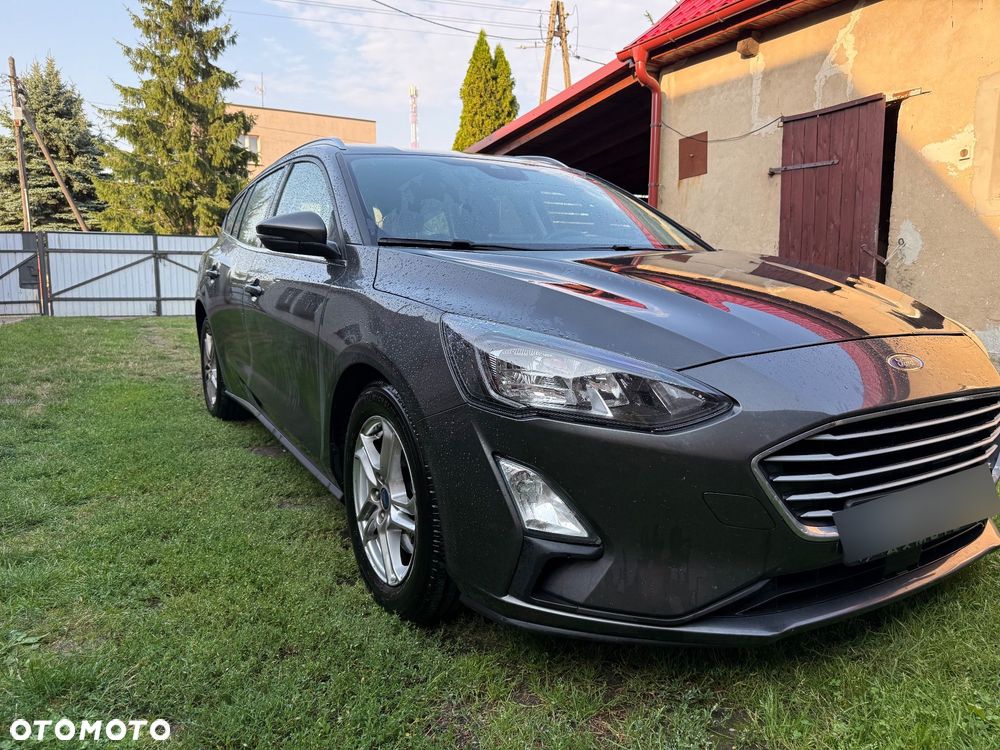 Ford Focus 2020 photo 5
