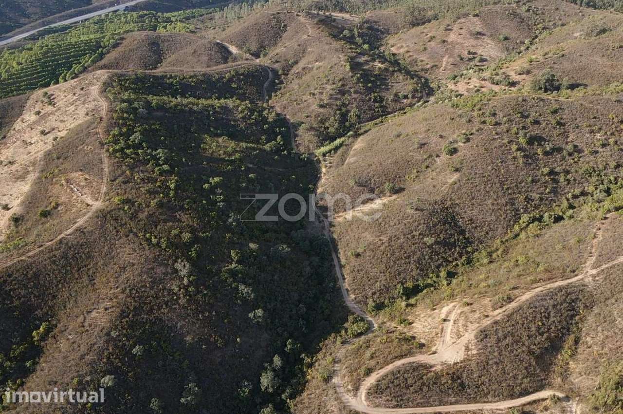 Terreno em S.B.Messines, Foz do Ribeiro com 45.680m2, c/ poço de ág... - Grande imagem: 5/20