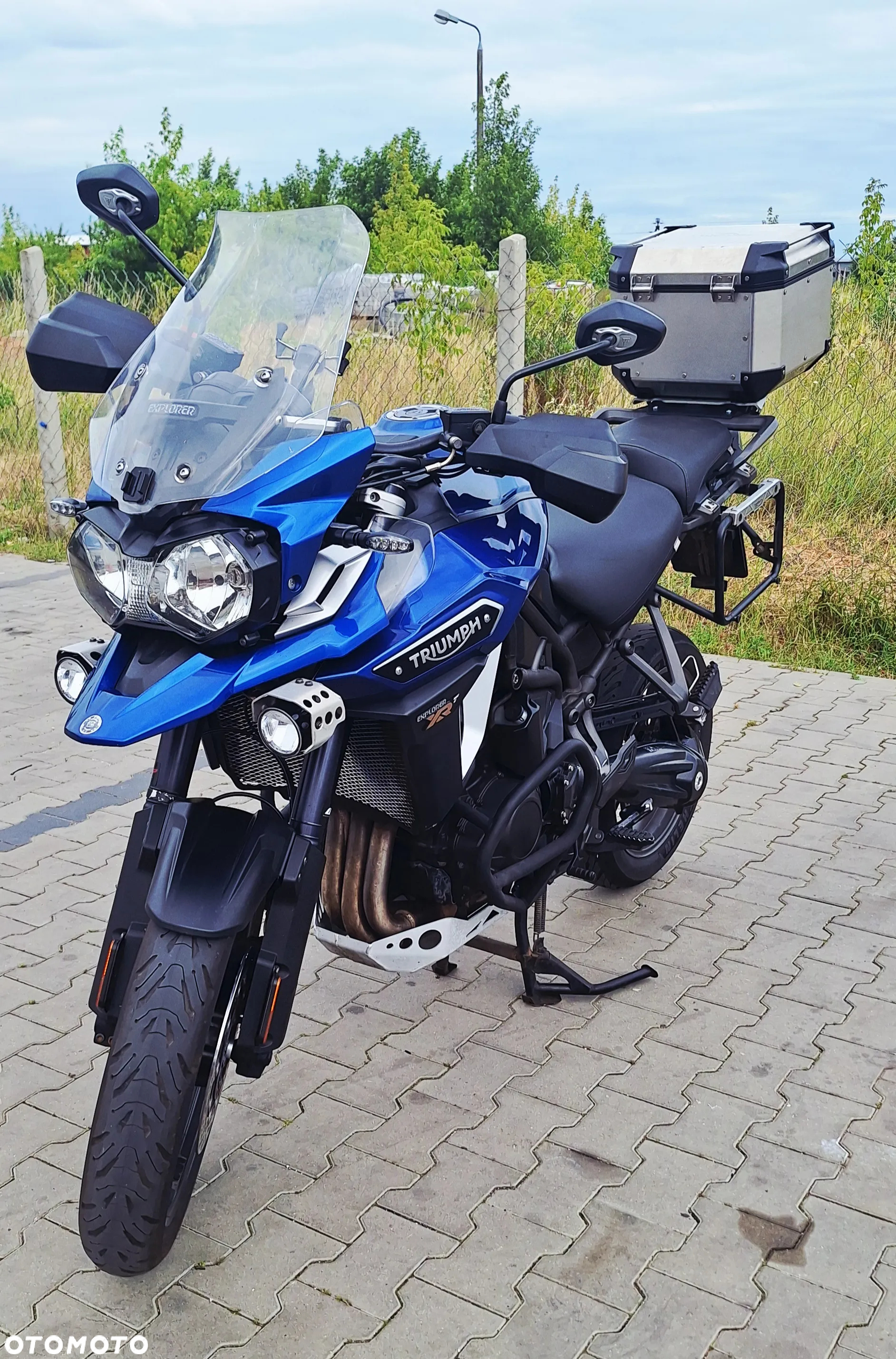 Triumph Tiger - 7